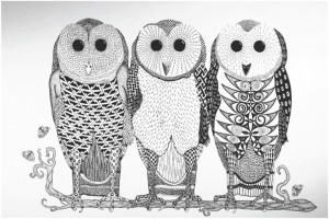RobinColerin-owls