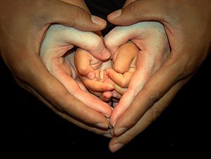 care-family-hands-heart-love-Favim.com-201857