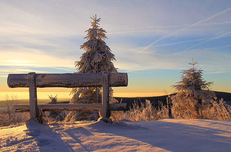 Image of a bench on a snowy hill. The photo is shot from behind the bench, and snow-covered trees and a sunrise are visible in the background.